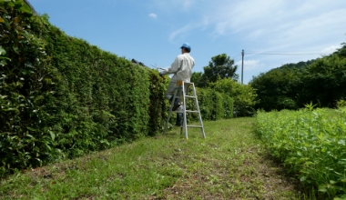 植樹・剪定