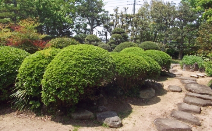 植樹・剪定